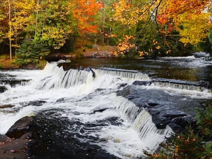 Bond Falls And Autumn Foliage