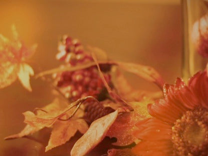 Background Fall 3