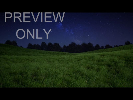 Prairie Grass Field Night Still