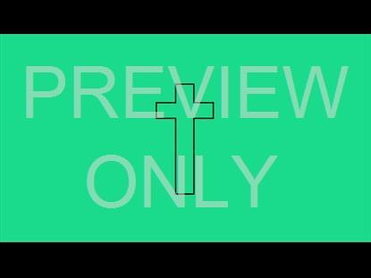 The Cross 9