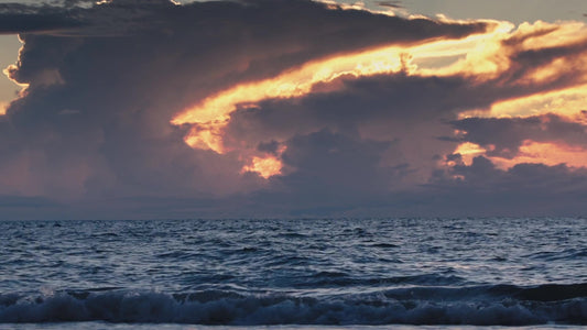 Spring Nature Still 01