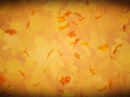 Orange Falling Leaves