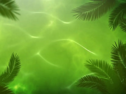 Waving Palm Branches