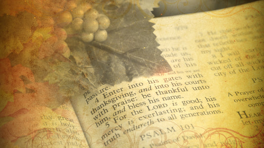 Thanksgiving Inspiration Still 9