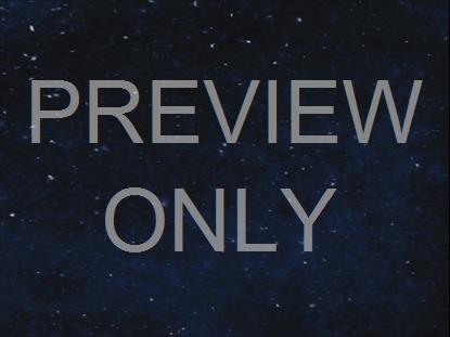 New Year Sparkle Night