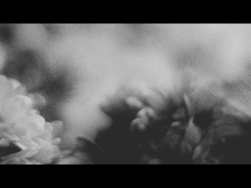 Flora Mae Loop 08