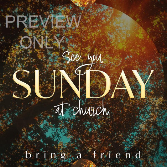 Sunday Autumn Canopies