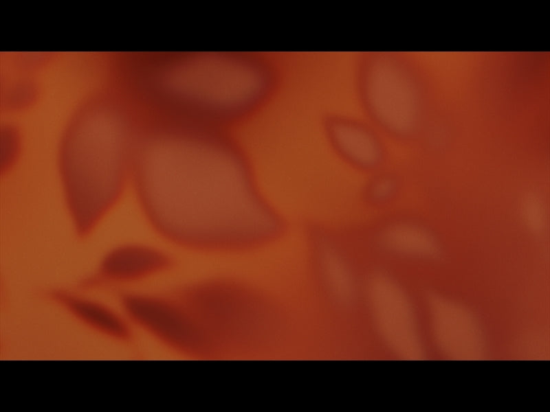 Velvet Fall Loop 02