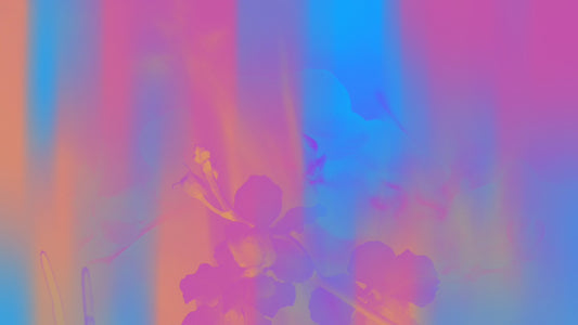 Floral Reflections 08 Still