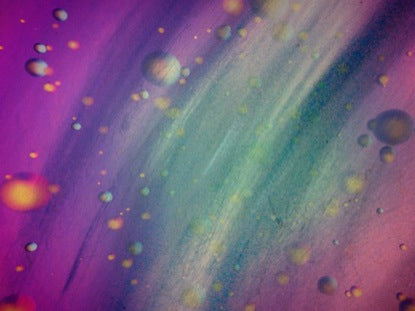 Colordrops Yellow Purple