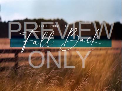 Amber Fields Fall Back Still