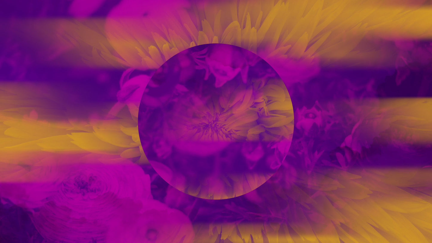 Floral Reflections 13 Still