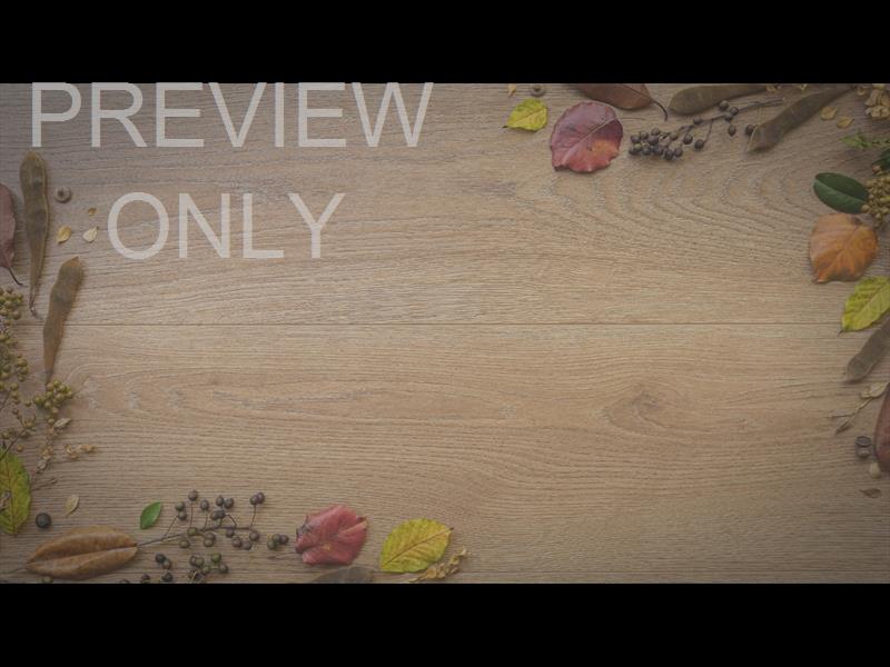 Abundance Still 02