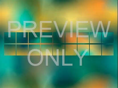 Neon Summer 9 Remix Still