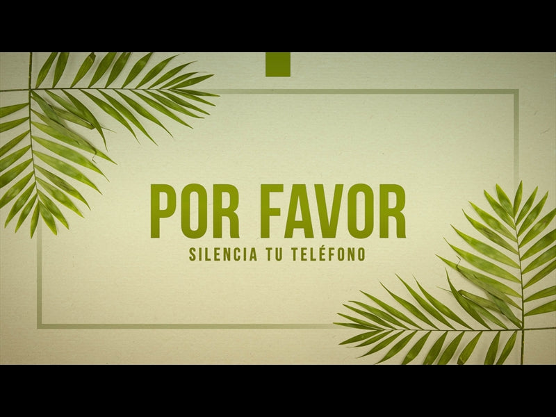 Silenciar Telefono En Domingo De Ramos