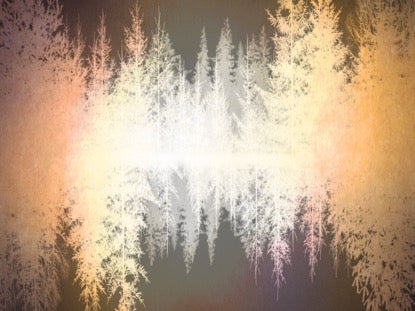 Natures Beauty 2 Motion