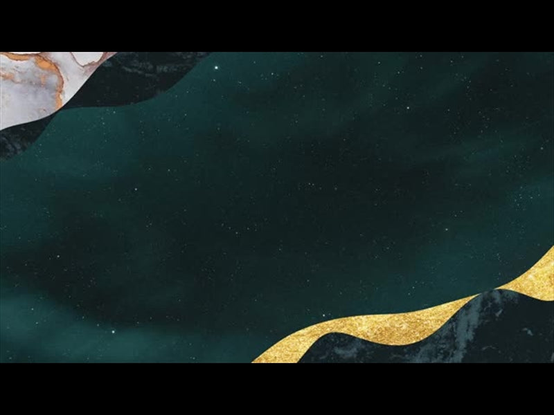 Star Of Wonder 13