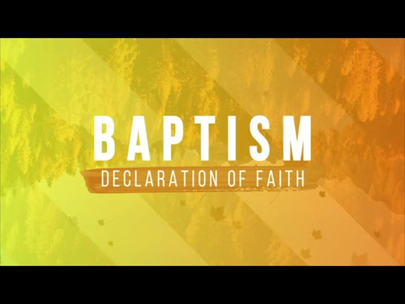 Gradient Leaves Baptism Motion