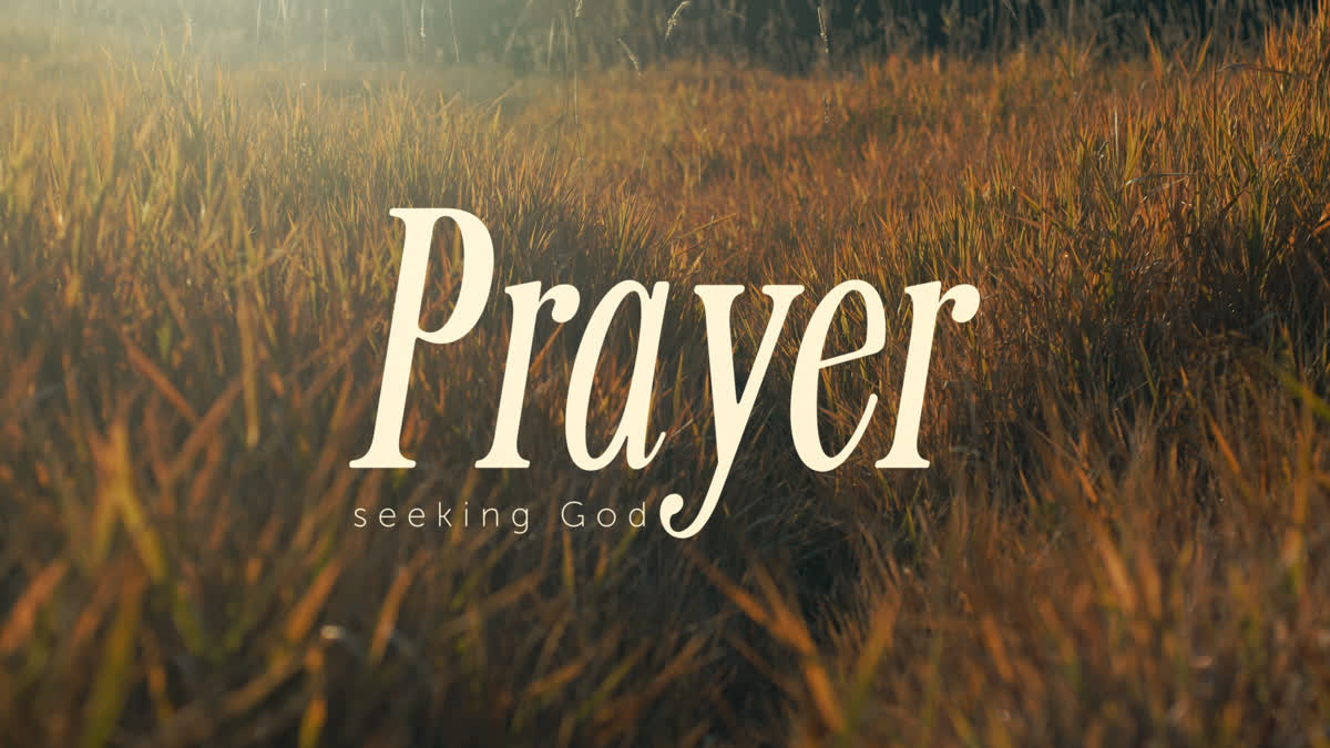 The Grass Still Prayer