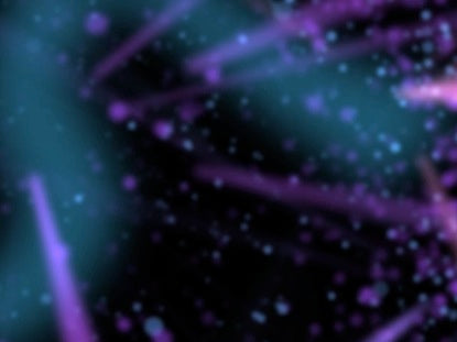 Purple Celebration
