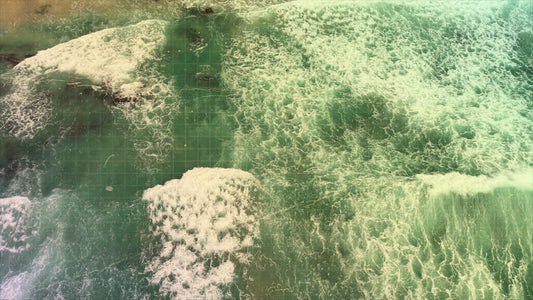 Summer Ocean 4