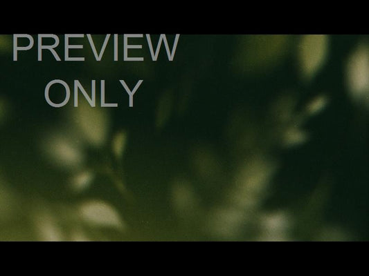 Autumn Again Still 03