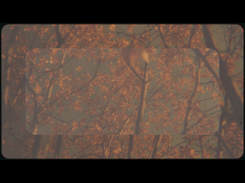 Vintage Fall Loop 06
