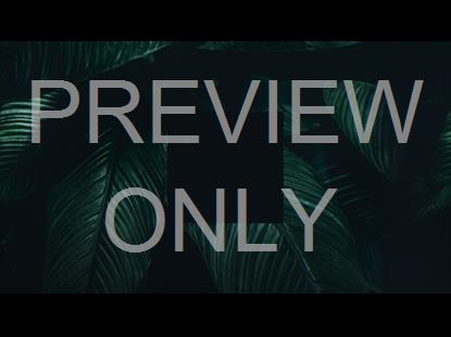Tropical Leaves Square