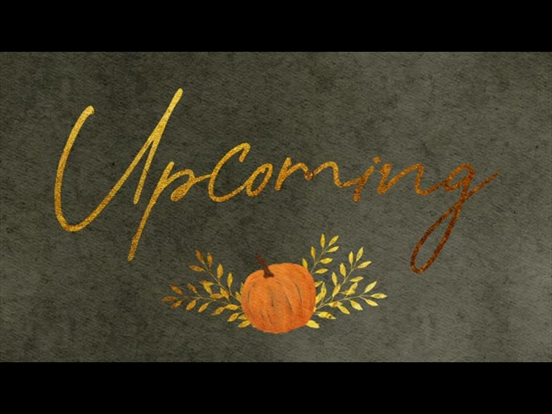 Harvest Pumpkin Upcoming