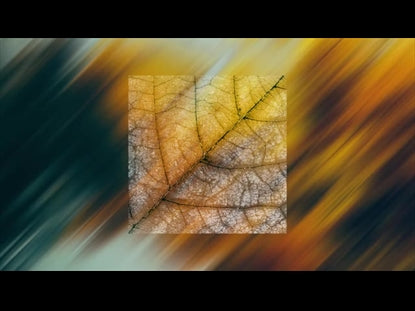 In The Fall 2