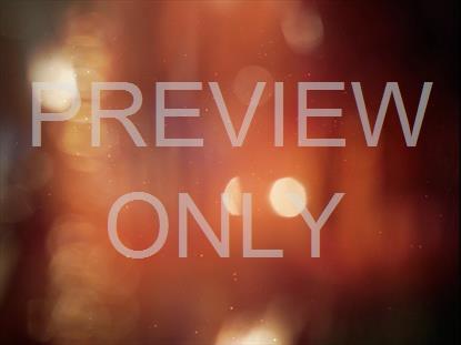 Fall Flares 13 Still