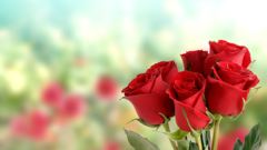 Flower 6