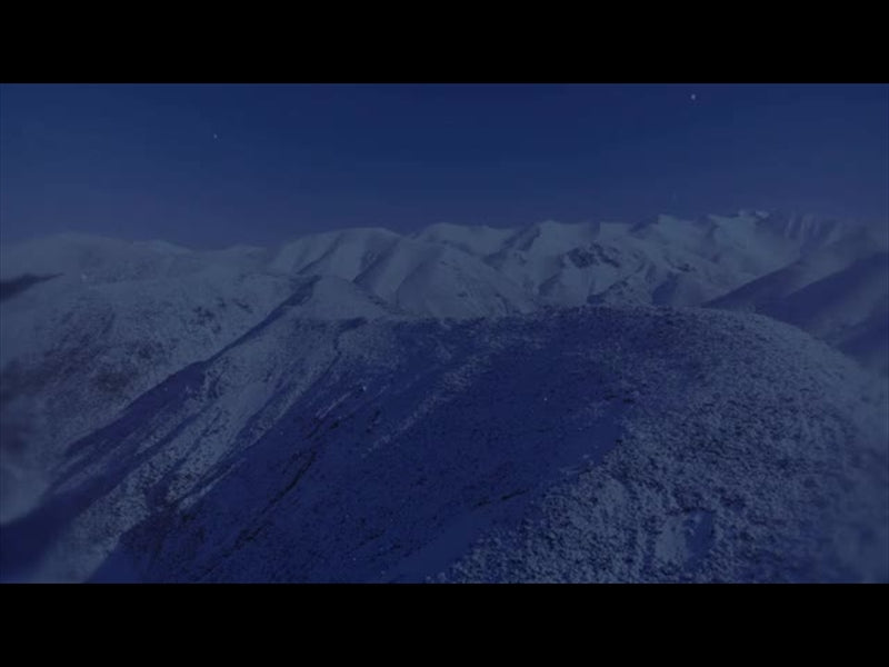 Deep Winter 4 Tint