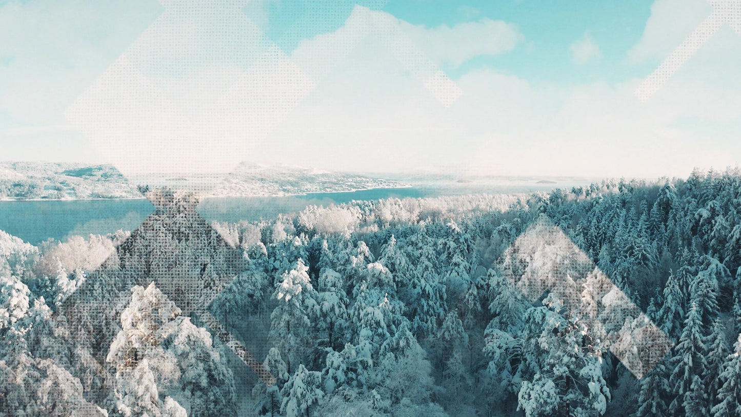 Rustic Christmas 06 Still