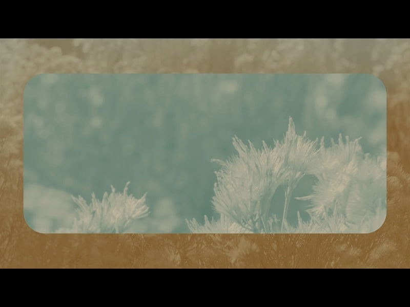 Sage Loop 03