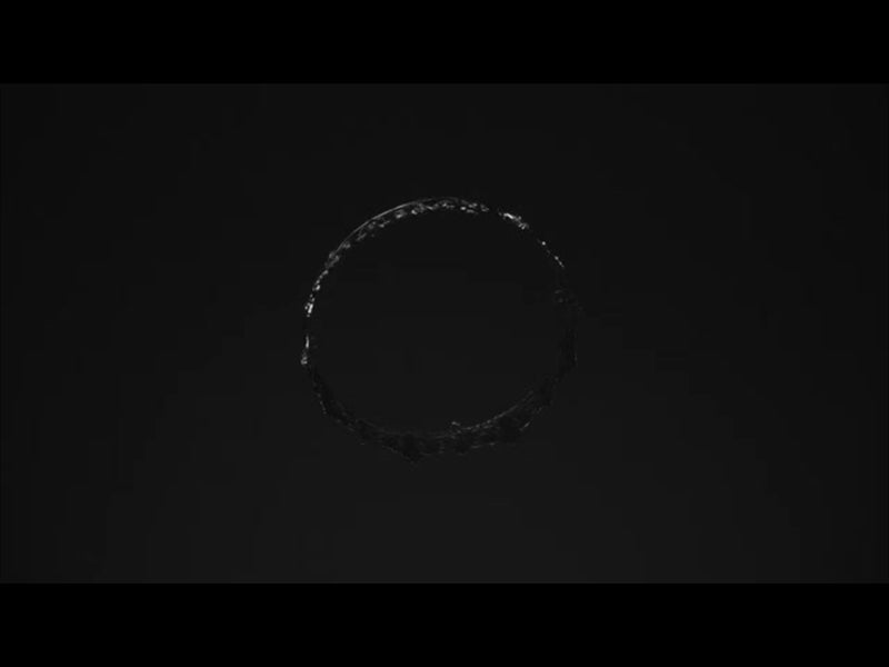 The Work Of The Son - Crown Bw