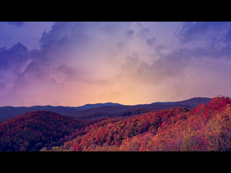 Wilderness Fall 4