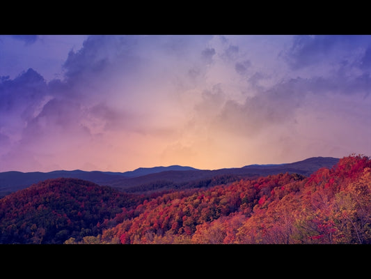 Wilderness Fall 4