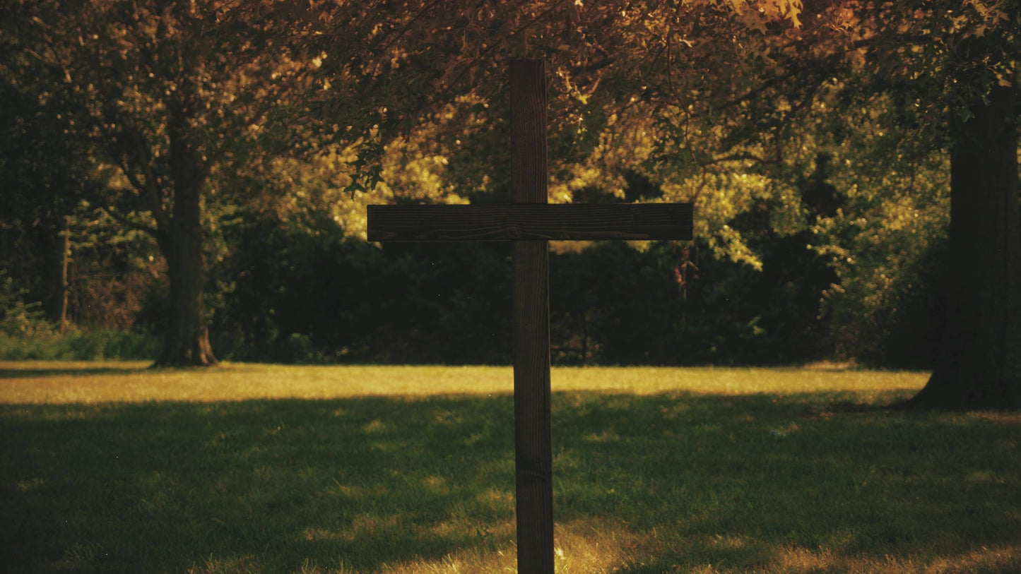 Cross 7 Still