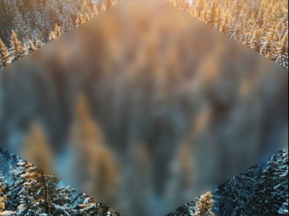 Epic Winter Aerial Trees Blur