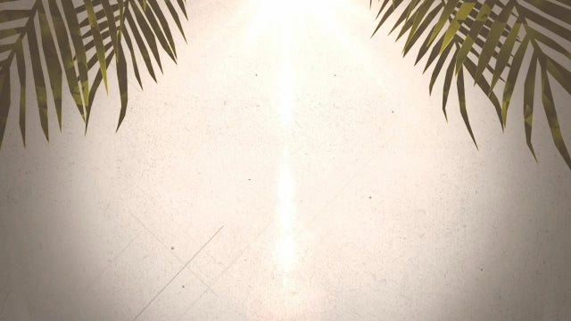 Palm Sunday Worship 02