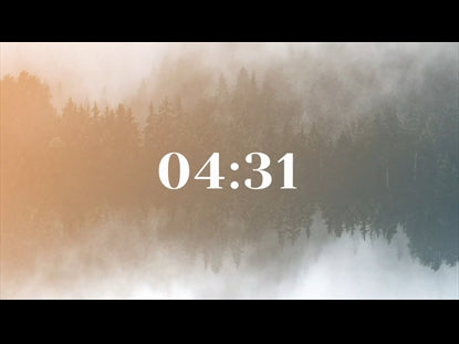 Forest Fog Countdown