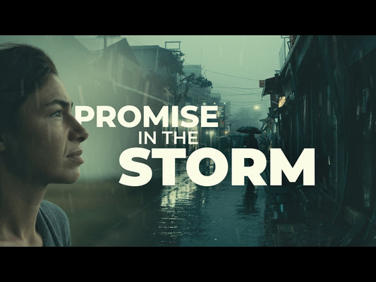 Promise In The Storm