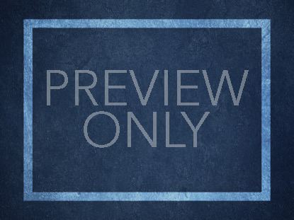 Firework Celebration Still 2