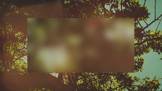 Summer Bright Branches Alt Still