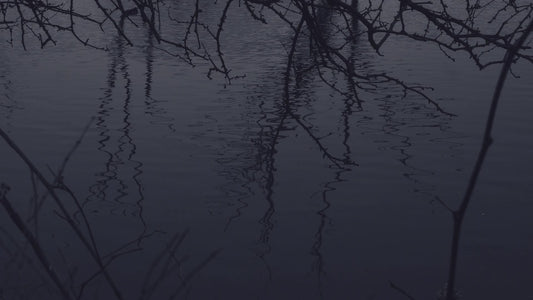 Bleak Beauty Ripples Still