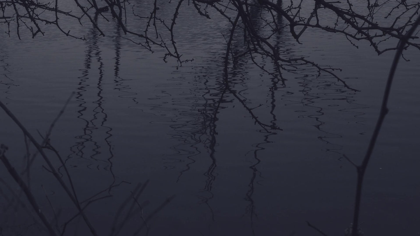 Bleak Beauty Ripples