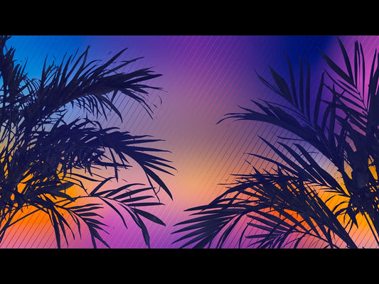 Sun Palms 7