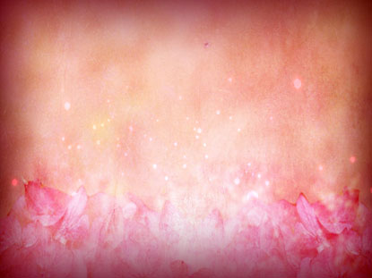 Valentine Pink Sparkles Collection