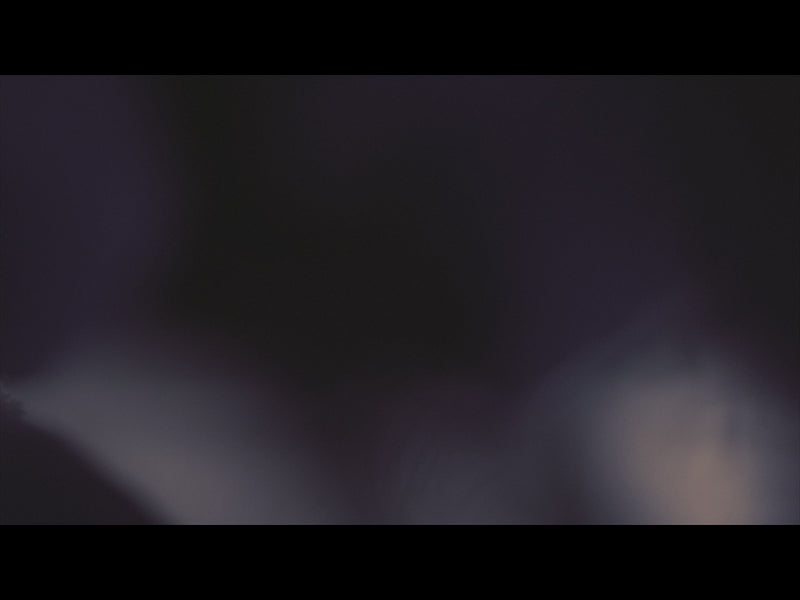 Be Still Loop 05